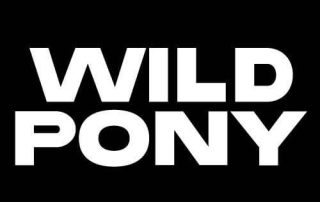 Wild Pony Logo